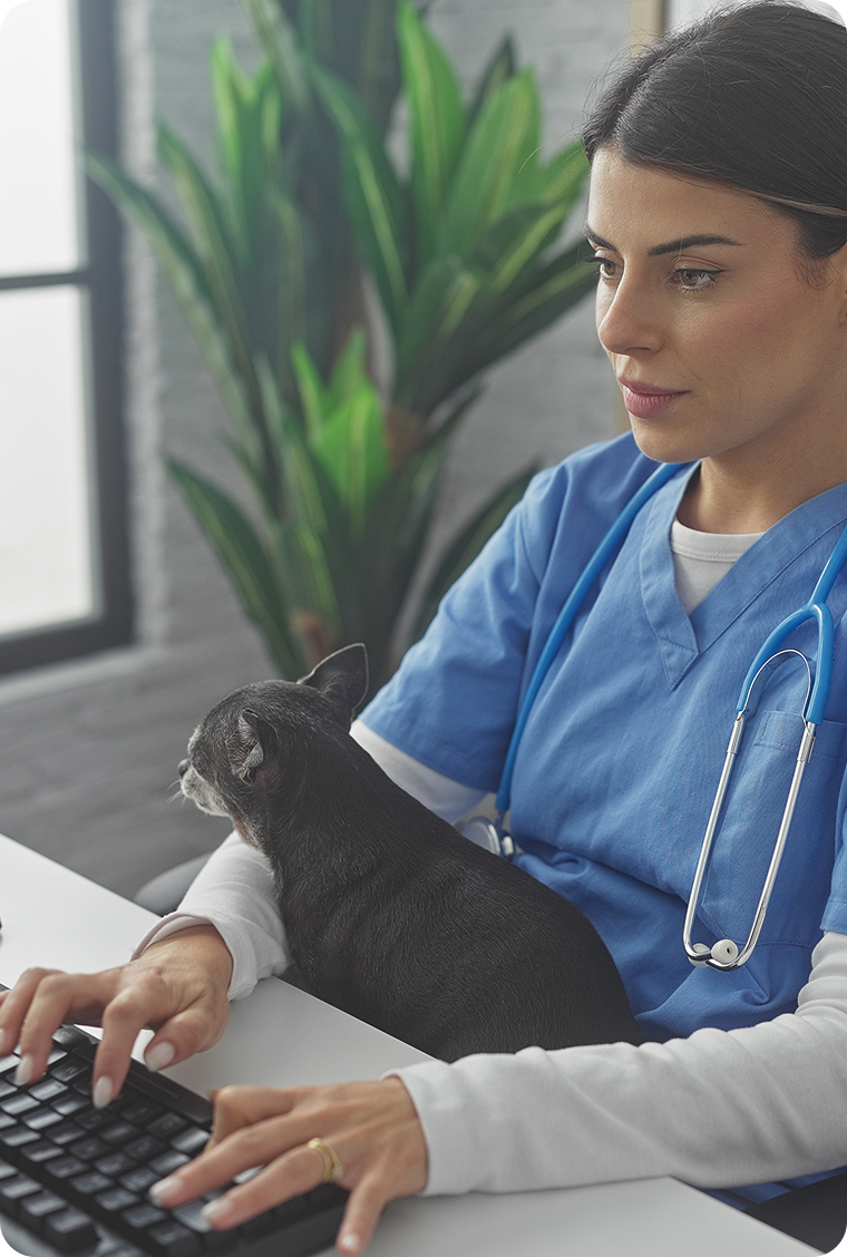 AVMA LIFE + AVMA PLIT = AVMA Insurance Services (TM)